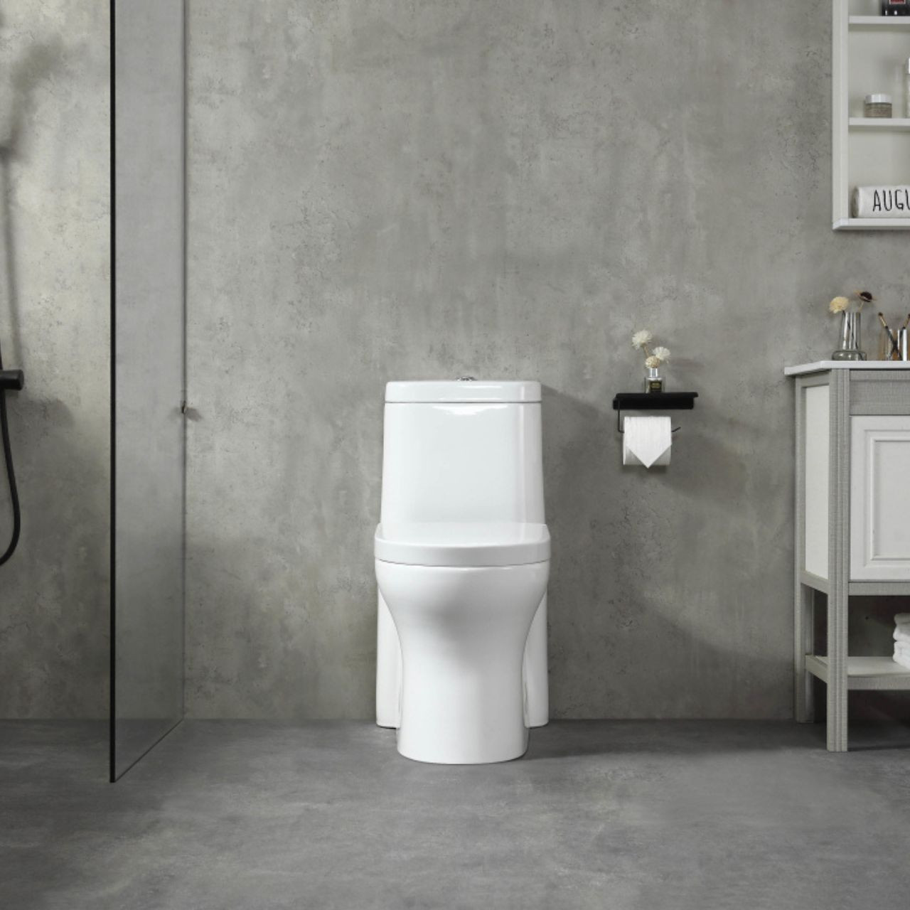 FISHER EcoMax™ Dual Flush Toilet in Metro White